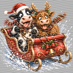 Christmas-ADJ 11657